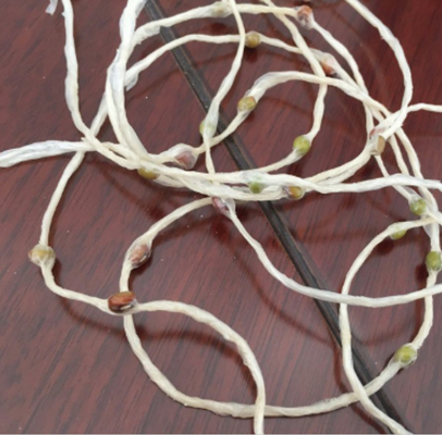 Eco Friendly Agro Chemical Packing Water Soluble Seed  Tape